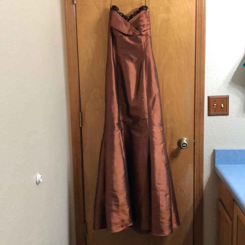 Beautiful Rare Prom Dress / Evening Gown